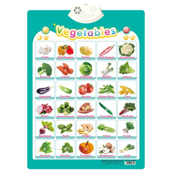 6Pcs Interactive Alphabet Wall Chart for Kids
