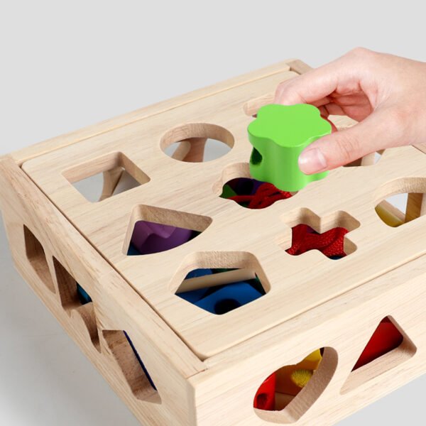 Wooden Shape Sorter Cube- Montessori Toys