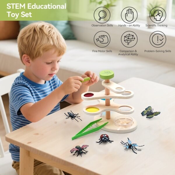 Wooden Adjustable Observation-Insect Magnifier - Image 6